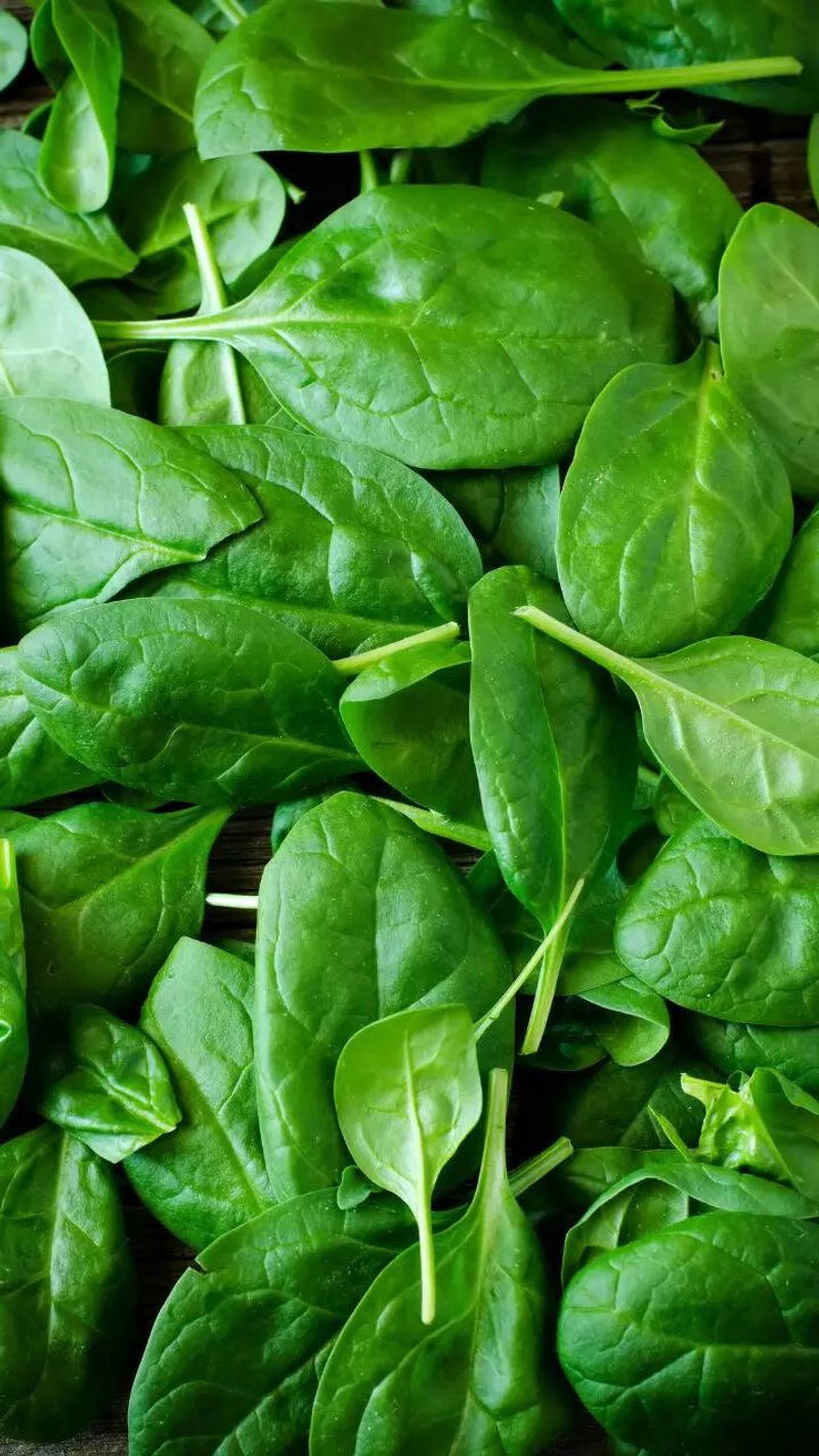 DANGER: Leafy Greens Second Round