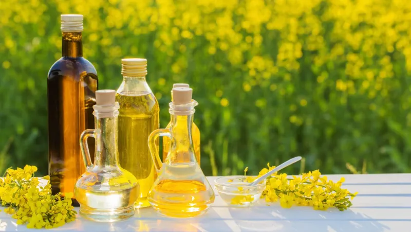 Vegetable Oils And Hormone Chaos