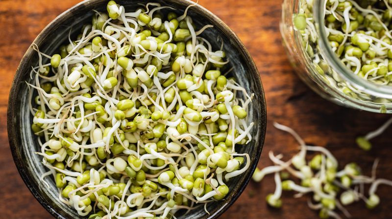 Bean Sprouts: Bacterial Breeding Grounds