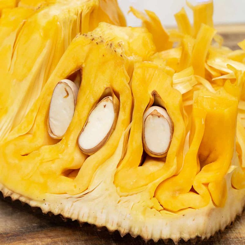 Jackfruit (Artocarpus heterophyllus)