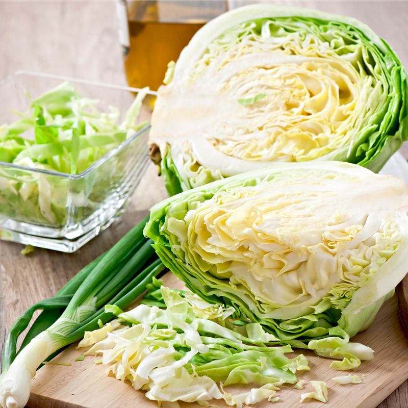 Cabbage Poultice