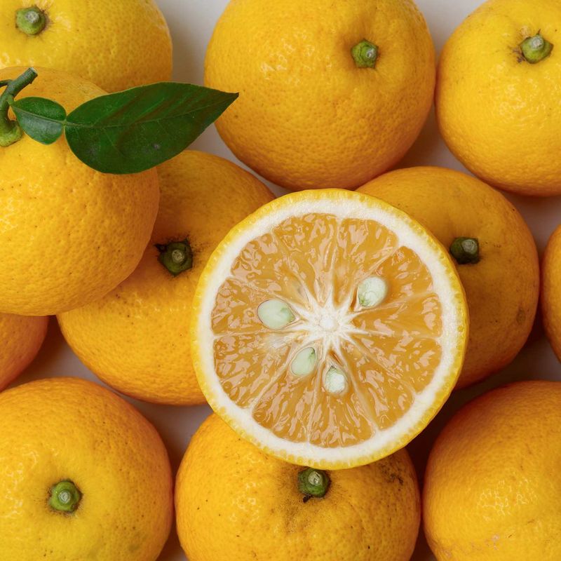 Yuzu Mania Sweeps Kitchens