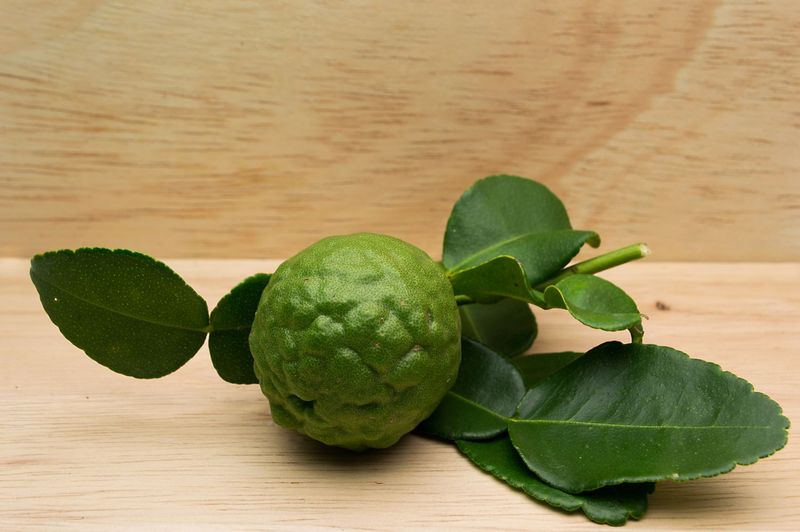 Makrut Lime