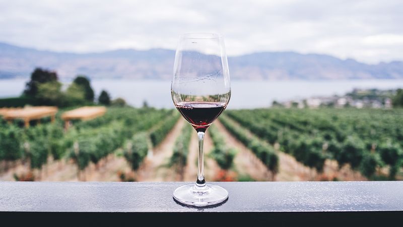 Wine