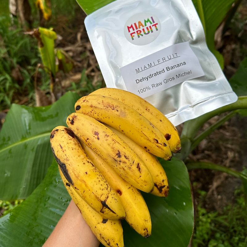 Gros Michel Banana