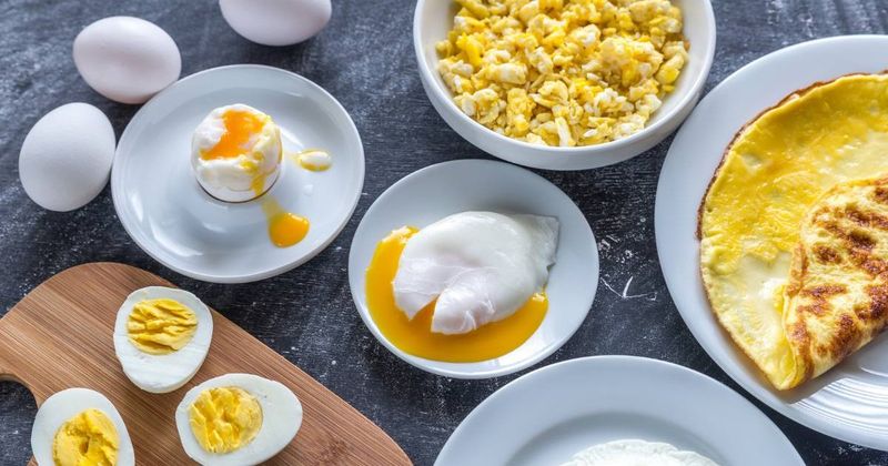 Eggs-Actly What Your Metabolism Needs