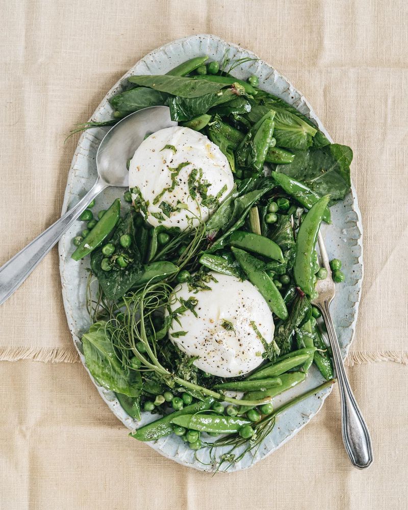 Pea Shoot And Burrata Salad