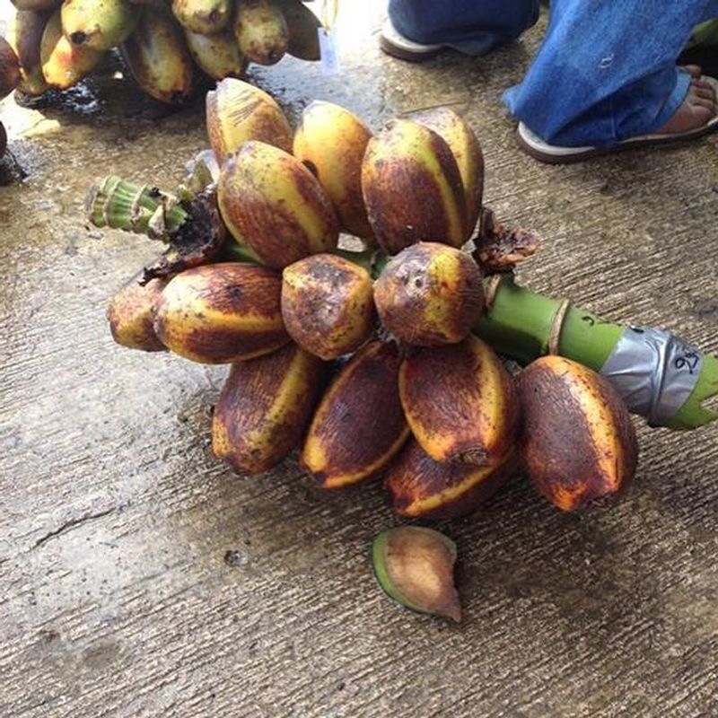 Fe'i Bananas