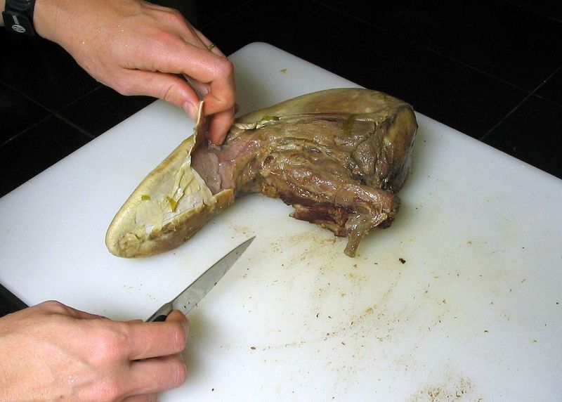 Boiled Beef Tongue