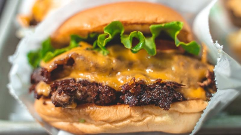 Shake Shack: Fast Food That's Actually Worth The Wait