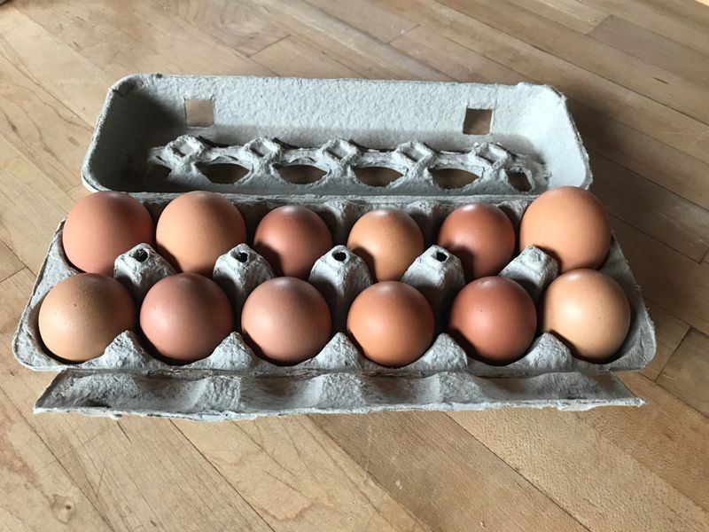 Organic Eggs