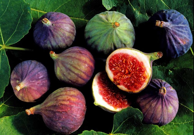Figs: Fruit Of Paradise