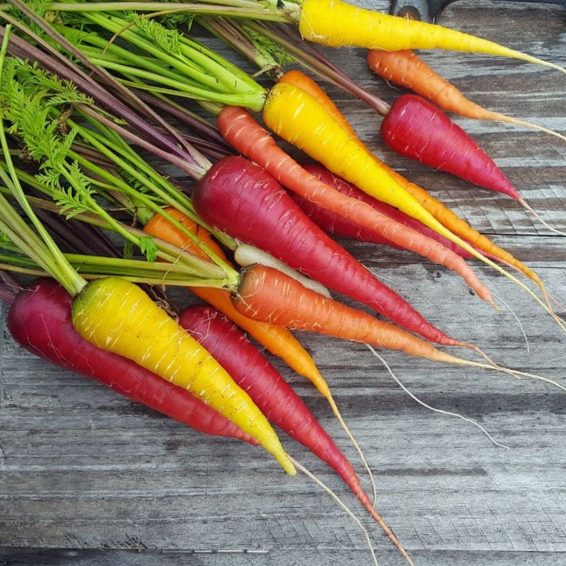 Carrots Weren't Always Orange