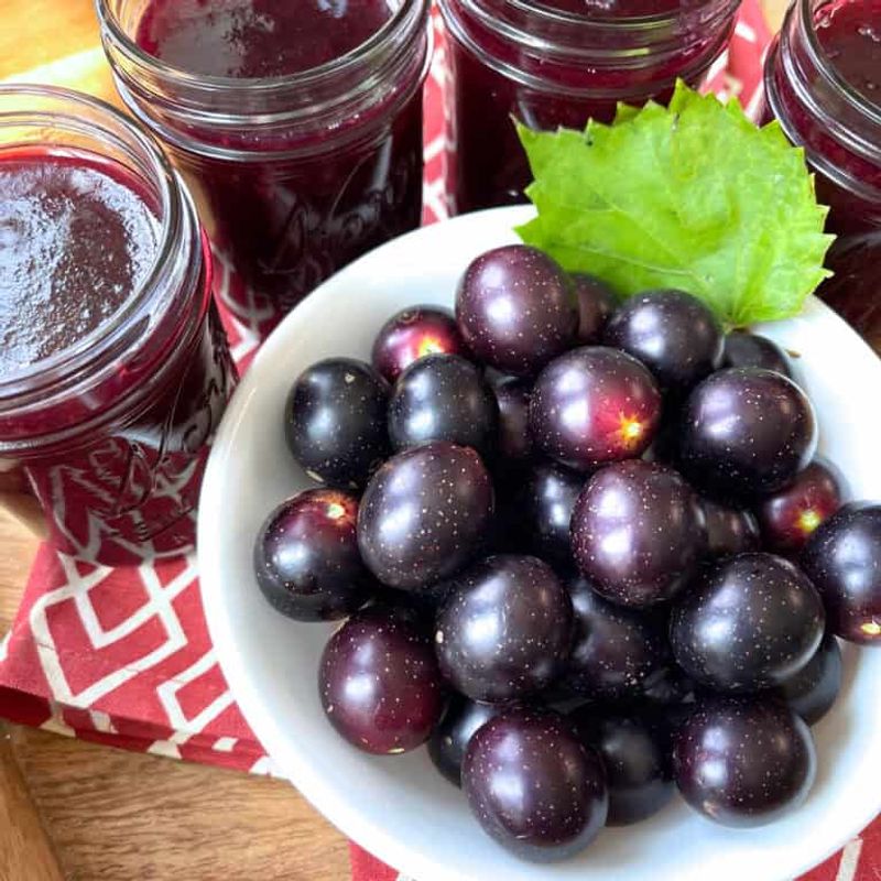 Muscadine Grape Hull Preserves