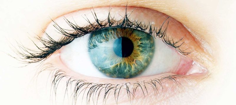 Supports Eye Health