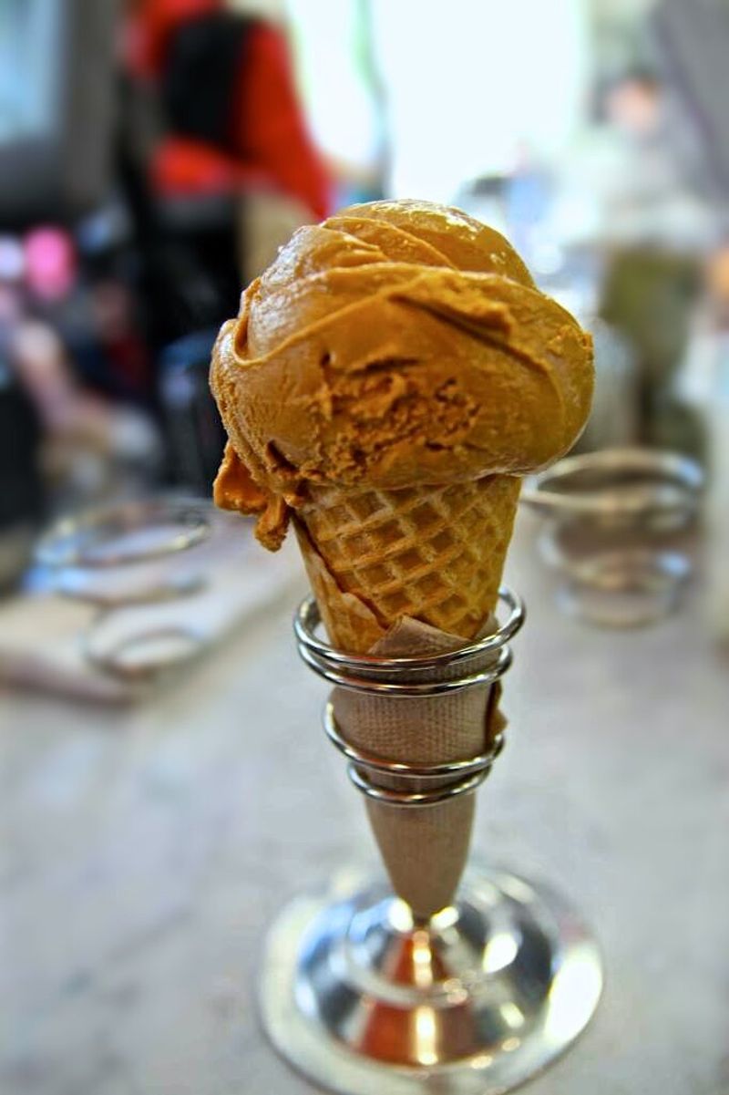 Bi-Rite Creamery Salted Caramel Ice Cream