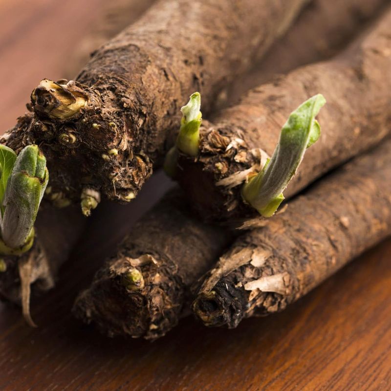 Salsify: The Oyster Vegetable