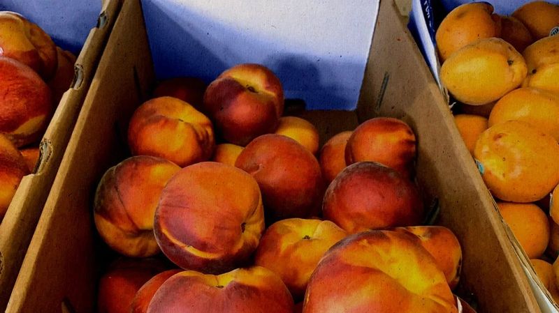 Aromatic Yellow Nectarines