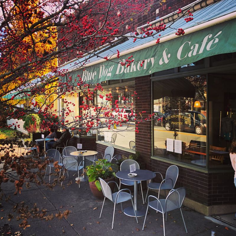 Kentucky - Blue Dog Bakery