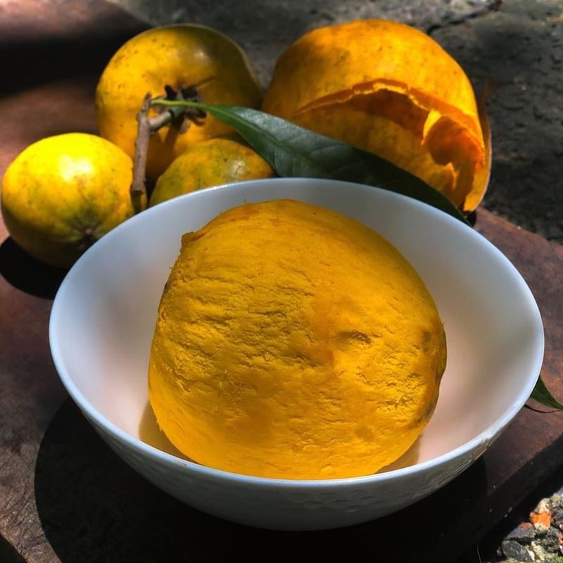 Canistel (Egg Fruit)