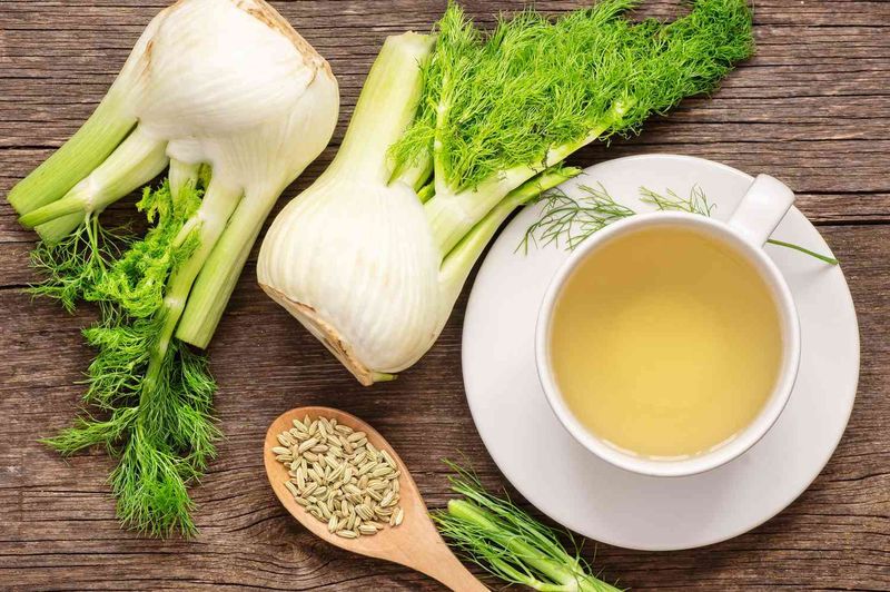 Fennel: The Licorice-Flavored Soother