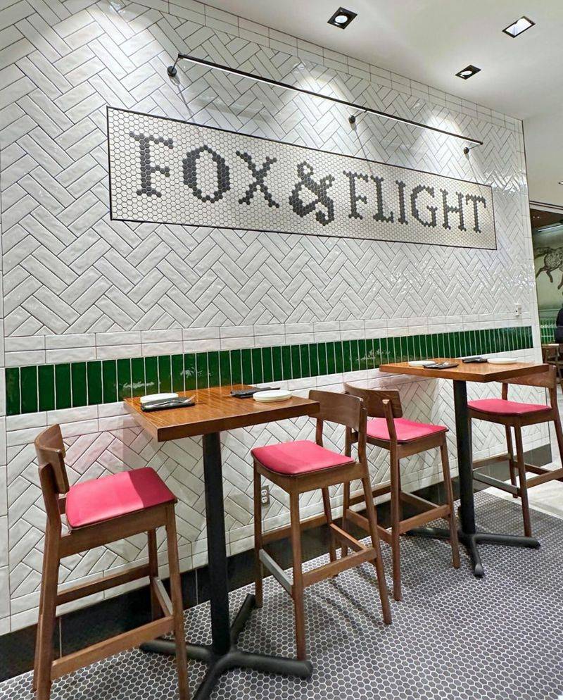Fox & Flight By Karen Akunowicz (Boston Logan International Airport – BOS)