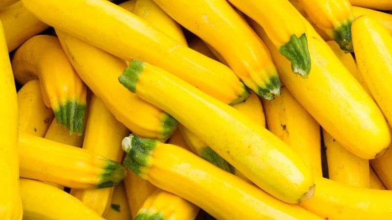 Yellow Squash: Low-Calorie Nutrient Bank