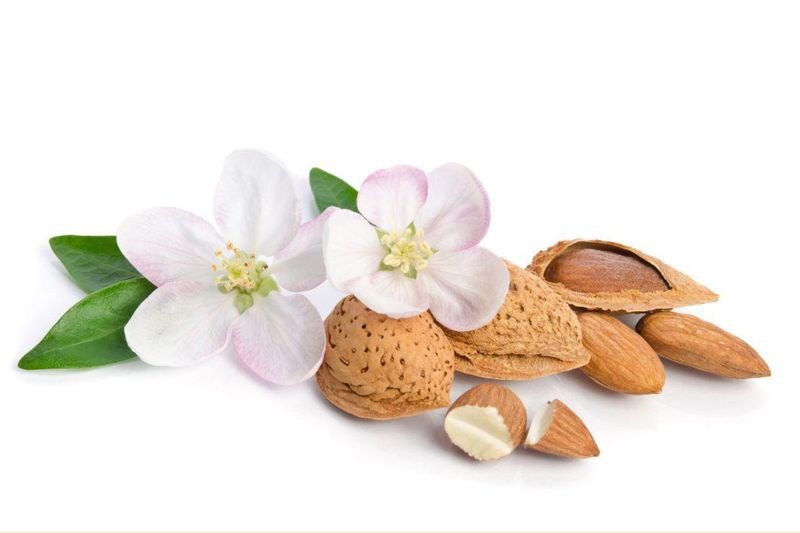 Almonds: Sacred Nuts