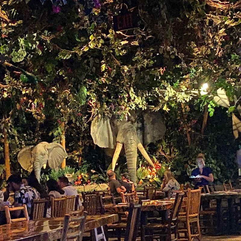 Rainforest Cafe - Where Animatronic Animals Upstage The Food
