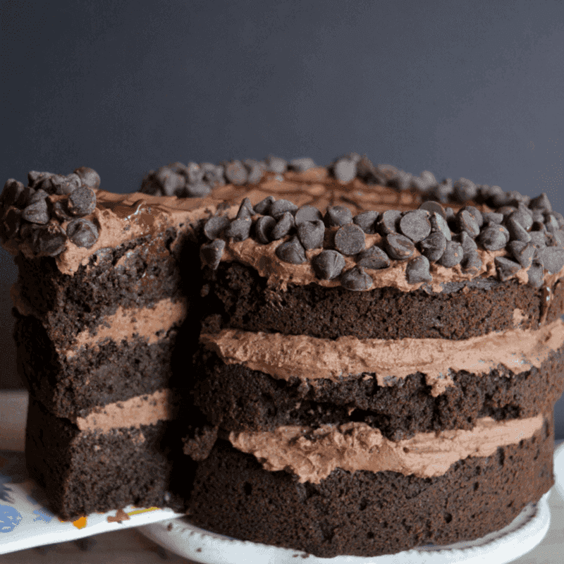 Coffee Ground Chocolate Cake
