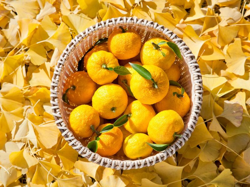 Yuzu: Japanese Citrus Stress-Buster