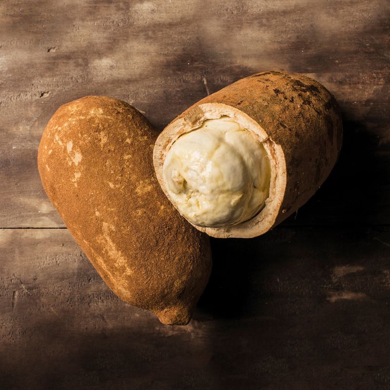 Cupuaçu (Theobroma grandiflorum)