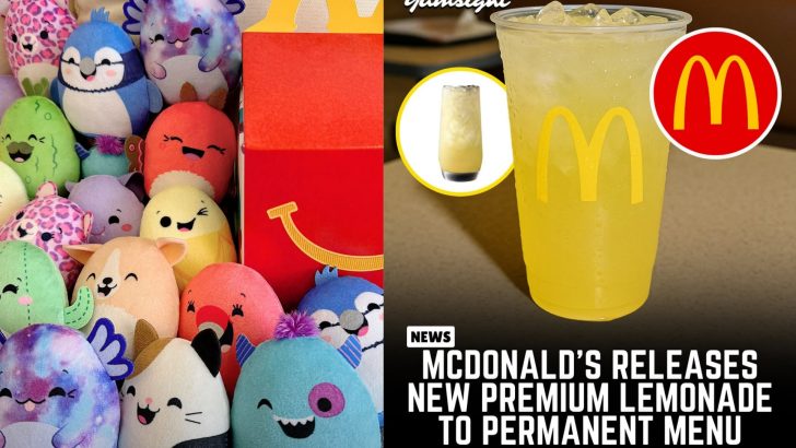 McDonald’s Delights Fans With 15 New Menu Items For 2025