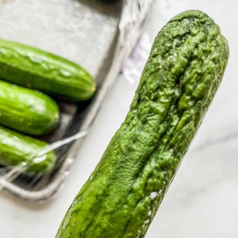 Cucumber's Cold Catastrophe