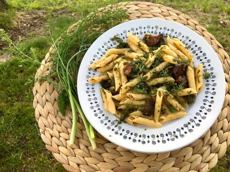 Fennel