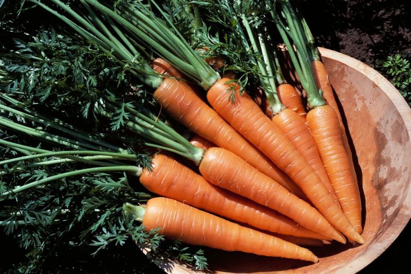 Carrots