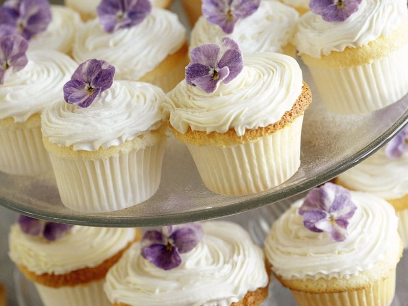 Violet Cupcakes