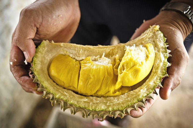 Durian Fruit