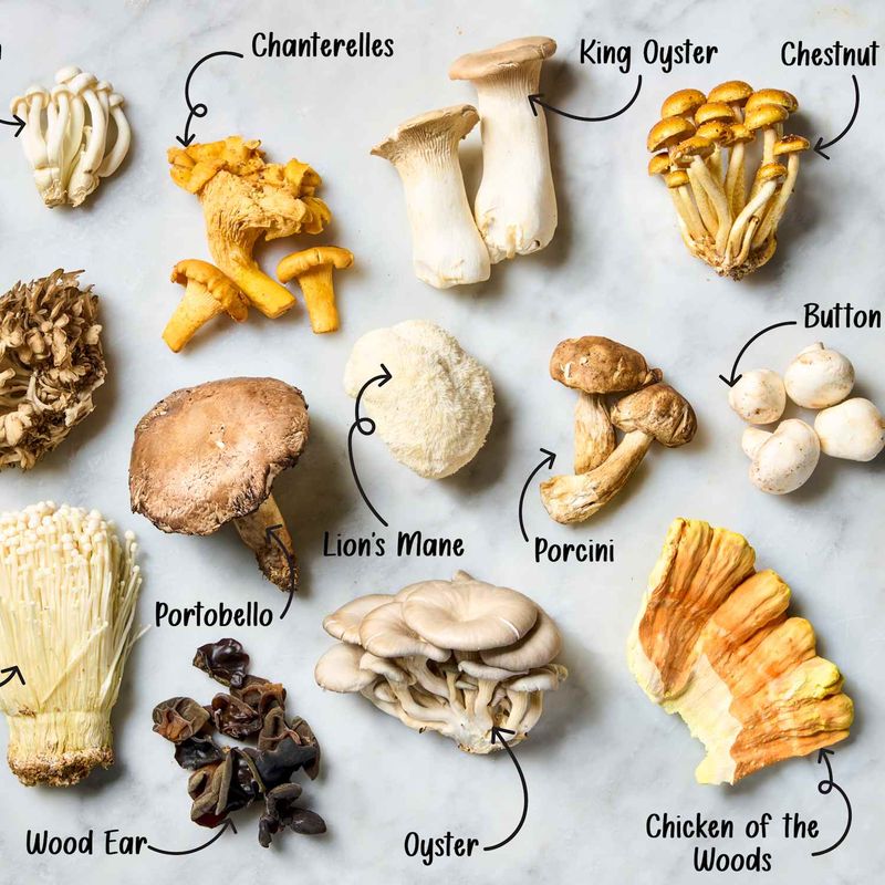 Mushrooms: Immune-Boosting Forest Treasures