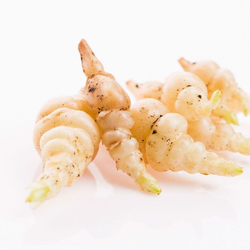 Chinese Artichoke: The Fiddly Nightmare