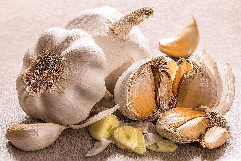 Garlic: Flavorful Medicine