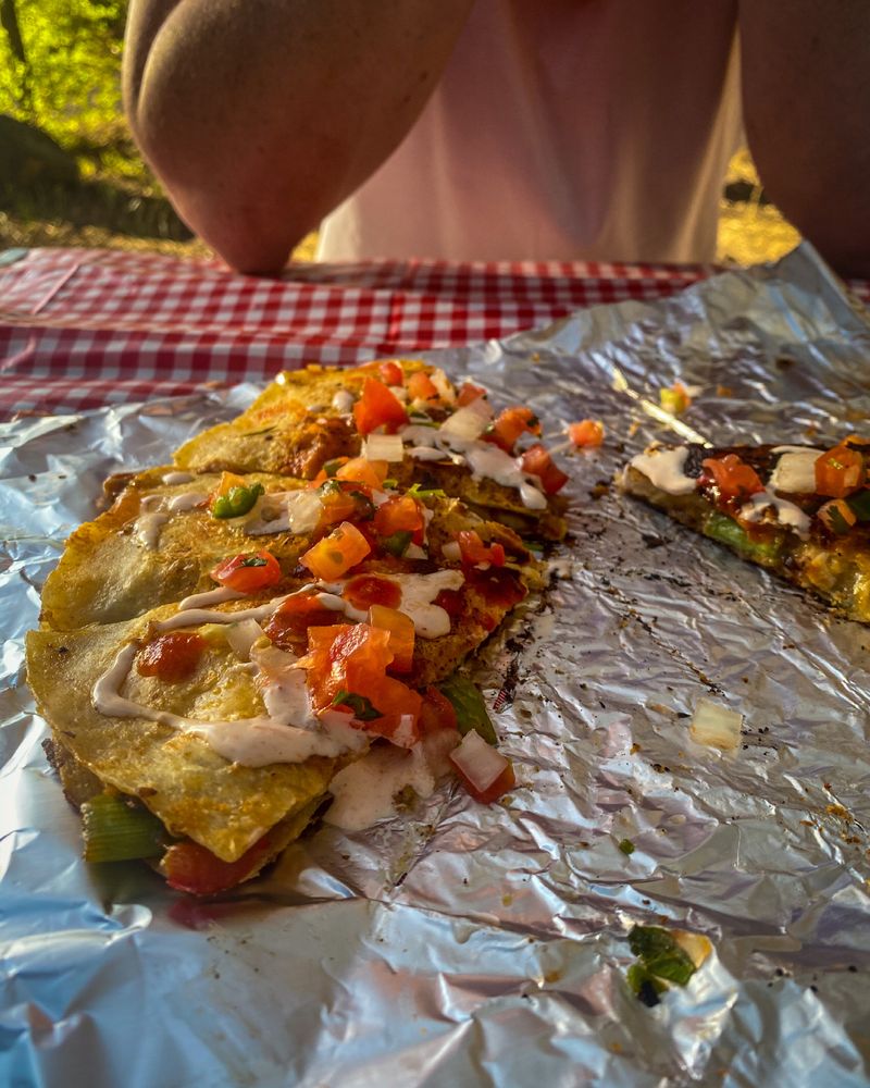 Campfire Quesadillas