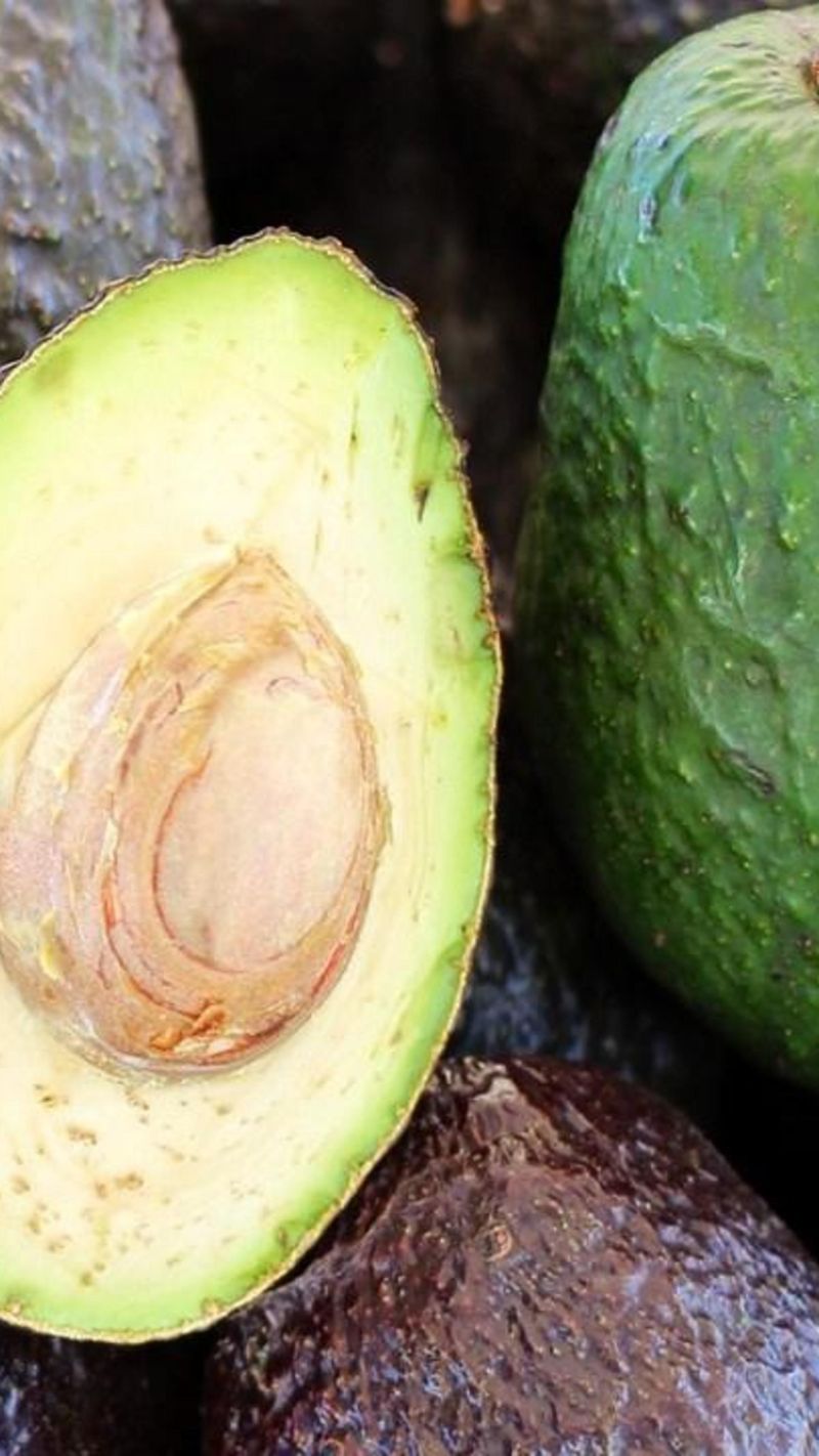 Unwashed Avocados: Skin-Deep Danger