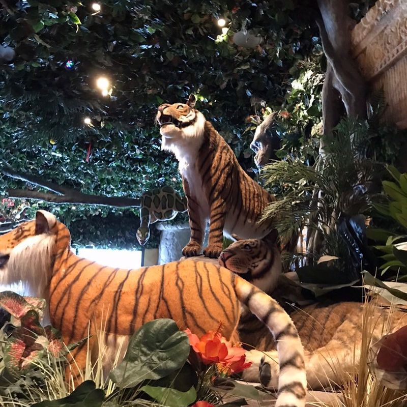 Rainforest Cafe: Where Animatronic Animals Distract From Forgettable Food