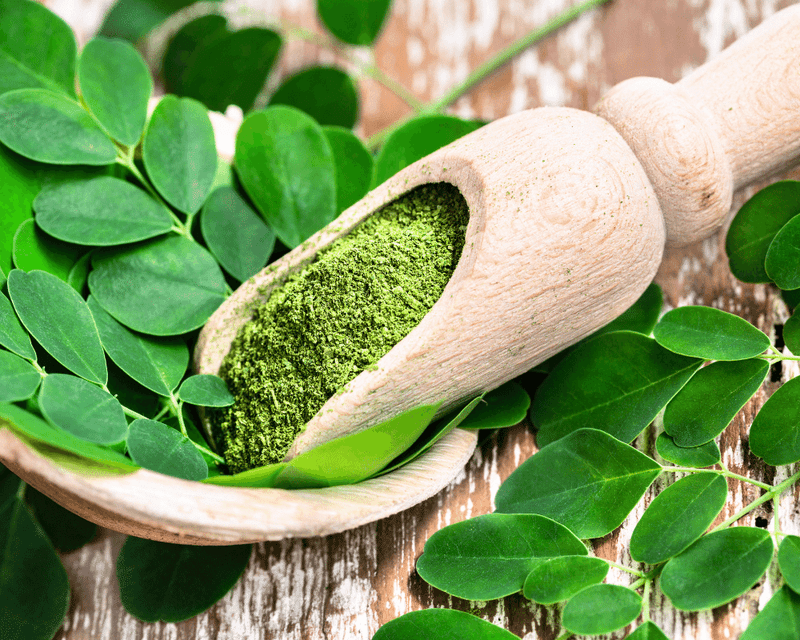 POWER PICK: Moringa Leaf Powder