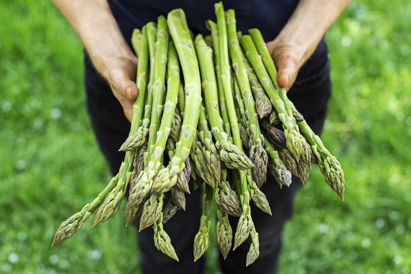 Helps Regulate Blood Pressure
