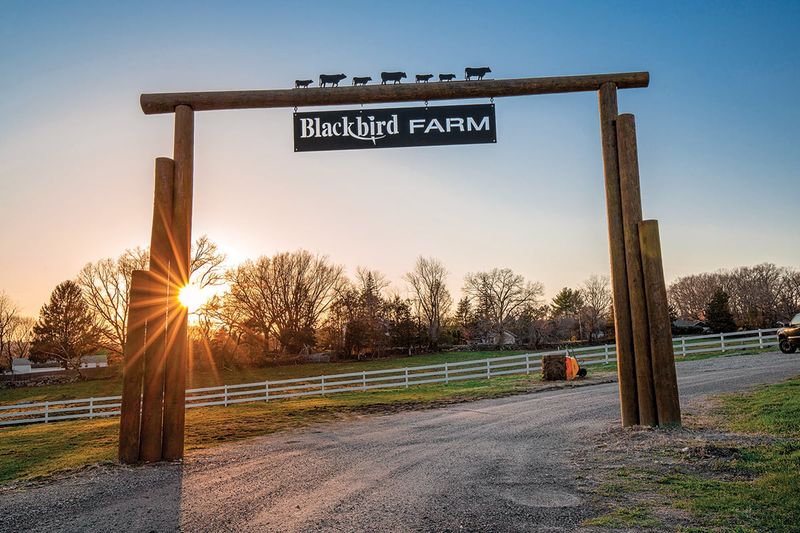 Rhode Island – Blackbird Farm