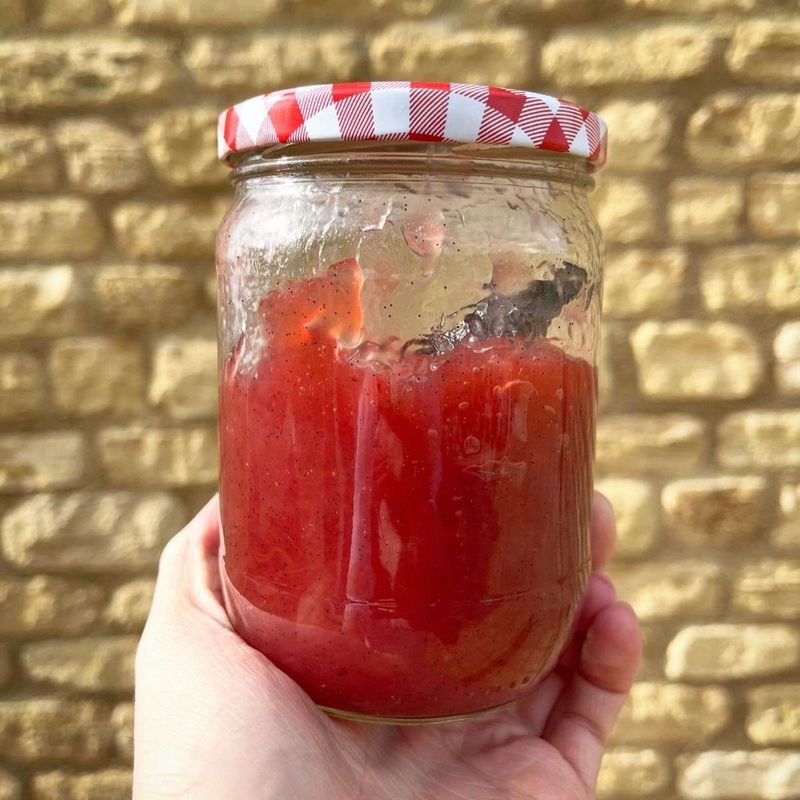 Rhubarb-Vanilla Bean Jam