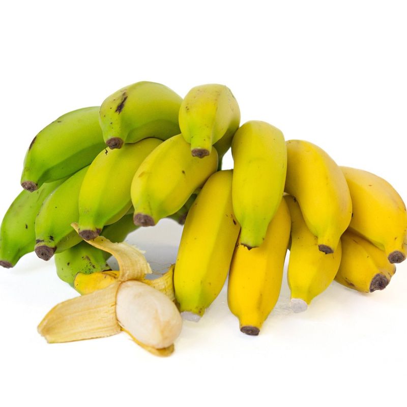 Manzano Banana (Apple Banana)
