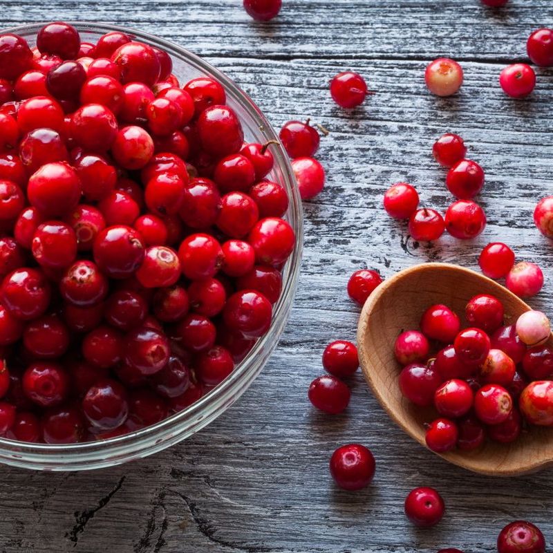 Ripe Cranberries Bounce Like Rubber Balls